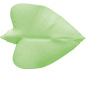 leaf2